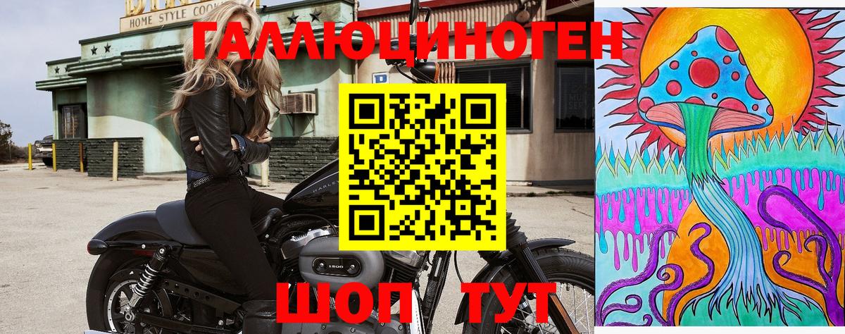 Галлюциногенные грибы Psilocybe  Вход с VPN  Белореченск 